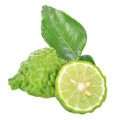 Bergamot