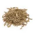 Cumin