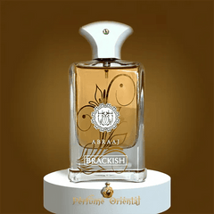 FW. Abraaj Brackish Edp 100ml Spy for Unisex